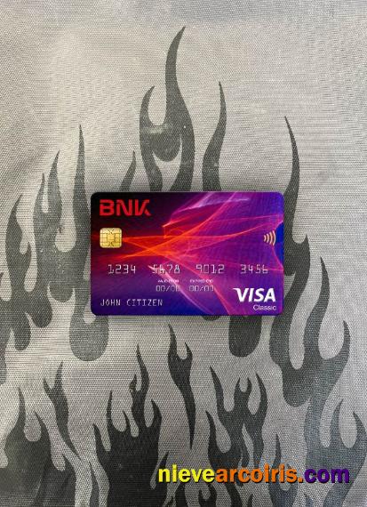 South Korea BNK bank visa classic card photolook